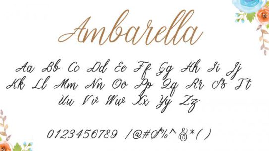 Ambarella là một kiểu chữ thư pháp đẹp mắt 