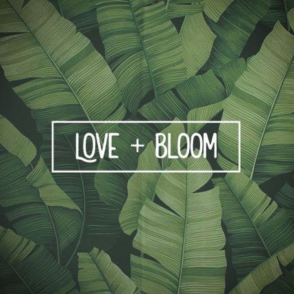 Thiết kế bởi Lou Delorme